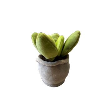 Take Me Home plant pluche Vetplant 12-17cm 660572