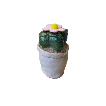 Take Me Home plant pluche Cactus met bloem 12-17cm 660620