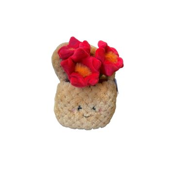 Take me home plant pluche bloemenmand Rood 18 cm 660671