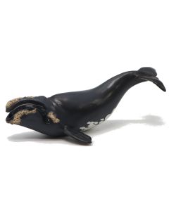 Papo Wild Life Noordkaper Walvis 56057