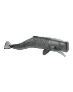 Schleich Wild Life Potvis 14764 